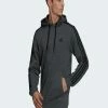 Adidas Performance ESSENTIALS 3-STREIFEN - Hoodie - Grey