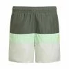 Adidas Performance COLORBLOCK - Swimming Shorts - Green -adidas Performance Shop e841ba85ed1c4021aef055bd91ea3986