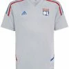 Adidas Performance D'ENTRAÎNEMENT OLYMPIQUE LYONNAIS CONDIVO 22 - Club Wear - Grey 1 Adidas Performance D'ENTRAÎNEMENT OLYMPIQUE LYONNAIS CONDIVO 22 - Club Wear - Grey -adidas Performance Shop e978e658a7e047bfae35703e9bbcb274