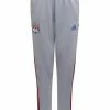 Adidas Performance ENTRENAMIENTO OLYMPIQUE DE LYON TIRO 21 - Club Wear - Grey