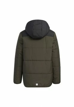 Adidas Performance Winter Jacket - Green 8 Adidas Performance Winter Jacket - Green -adidas Performance Shop f5e9d7beaaf040ec81b6b2eafce102a0